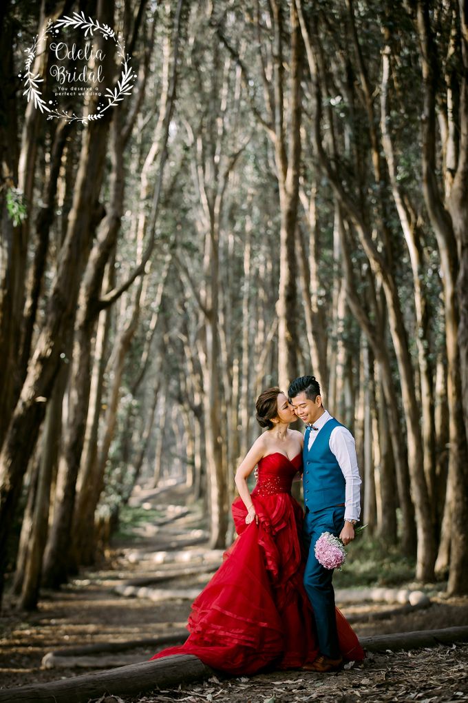 San Francisco pre wedding photography by Odelia Bridal - 009 San Francisco pre wedding photography by Odelia Bridal - 009