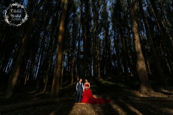 San Francisco pre wedding photography by Odelia Bridal - 011 San Francisco pre wedding photography by Odelia Bridal - 011
