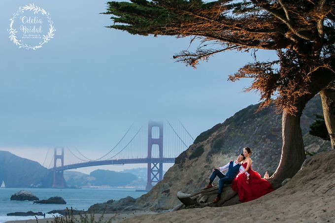 San Francisco pre wedding photography by Odelia Bridal - 017 San Francisco pre wedding photography by Odelia Bridal - 017