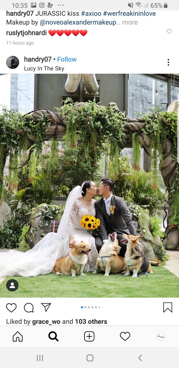 Wedding Robby & Falentina by Hanny N Co Orchestra - 001 Wedding Robby & Falentina by Hanny N Co Orchestra - 001