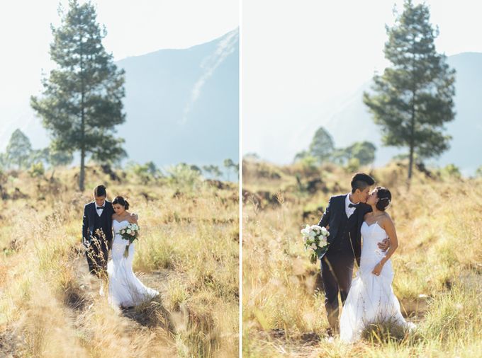 Wonderful walk. Wonderful walk. Wonderful walk. Свадьба марты и дамиана. Wonderful walk.