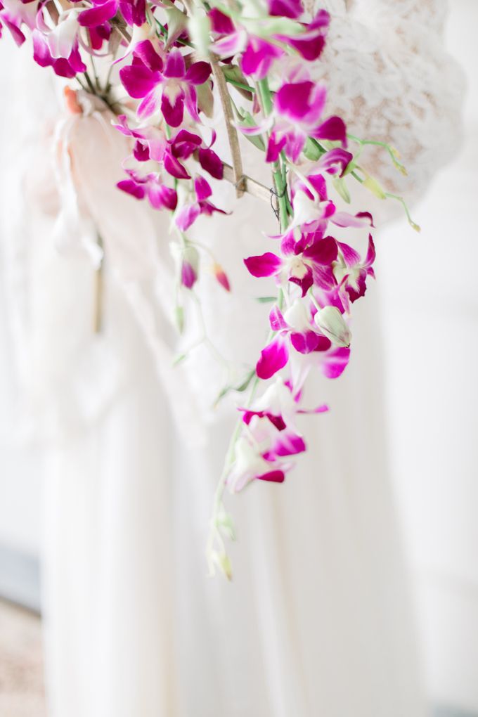 Omar & Hanna - Wedding by Iris Photography - 002 Omar & Hanna - Wedding by Iris Photography - 002