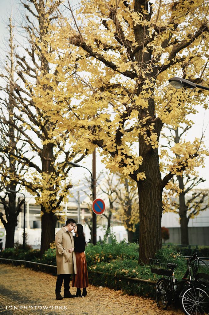 SONY & CYNTHIA by ION Photoworks - 001 SONY & CYNTHIA by ION Photoworks - 001
