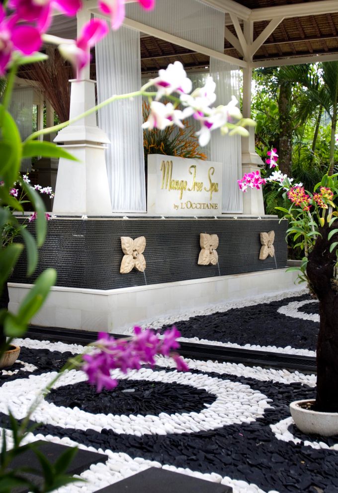 Kupu-Kupu Barong Resorts & Spa by Kupu Kupu Barong Villas & Tree Spa by L'Occitane - 035 Kupu-Kupu Barong Resorts & Spa by Kupu Kupu Barong Villas & Tree Spa by L'Occitane - 035