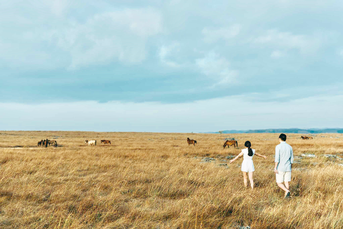 Sumba Prewedding Viola & Fry by StayBright - 016