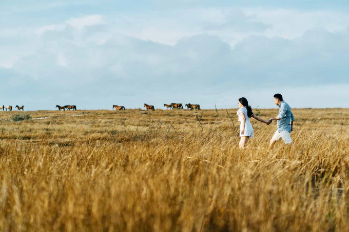 Sumba Prewedding Viola & Fry by StayBright - 018