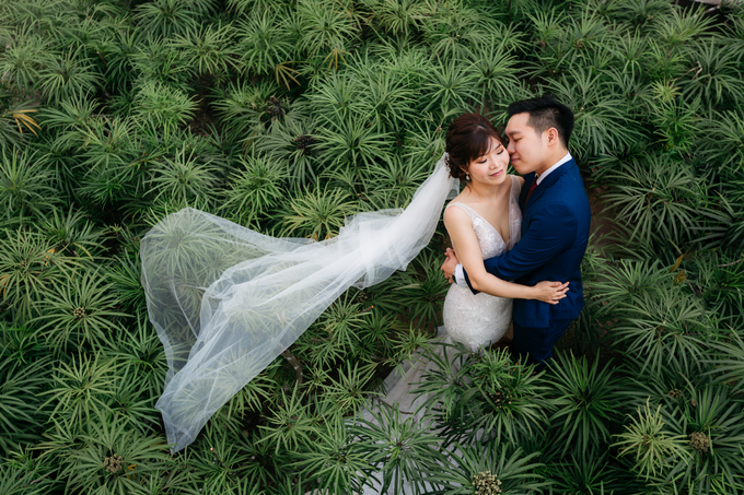 SG Pre-Wedding Photography of Evans & Jasmine by DTPictures - 007 SG Pre-Wedding Photography of Evans & Jasmine by DTPictures - 007