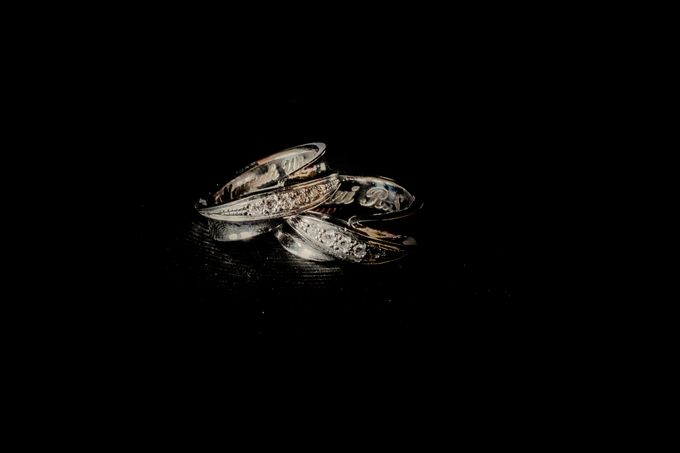 Bali Wedding Photography and Video - Ngurah & Indri by The Deluzion Visual Works - 001 Bali Wedding Photography and Video - Ngurah & Indri by The Deluzion Visual Works - 001