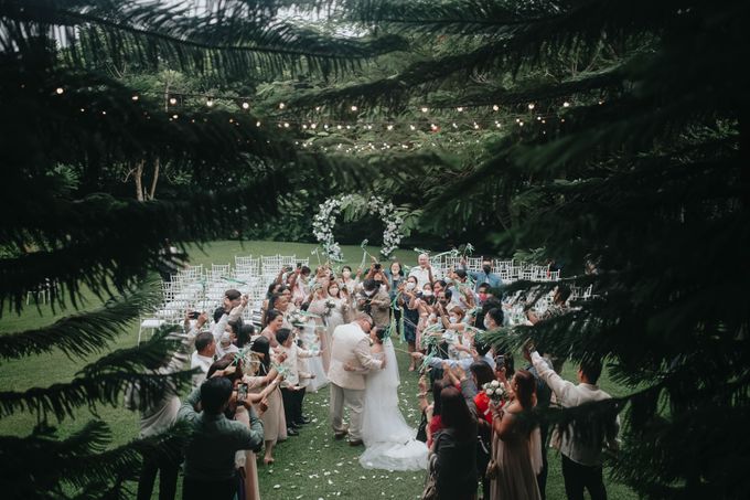 Lavish Green Forrest by ALTUZ events - 014 Lavish Green Forrest by ALTUZ events - 014