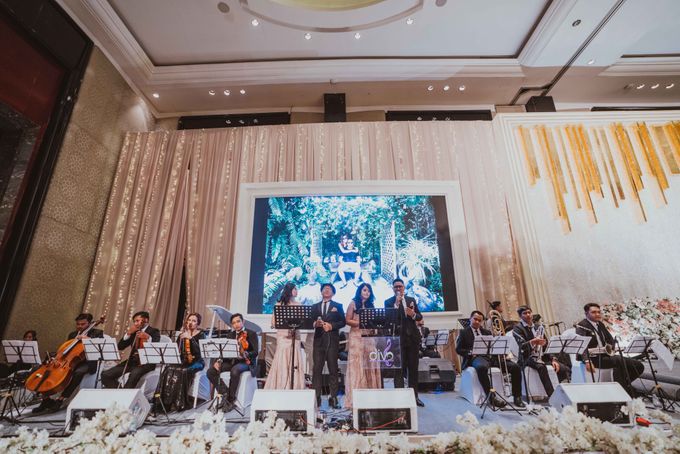 Big Band Orchestra for Grantvin & Anas Wedding by DIVO MUSIC Management - 020