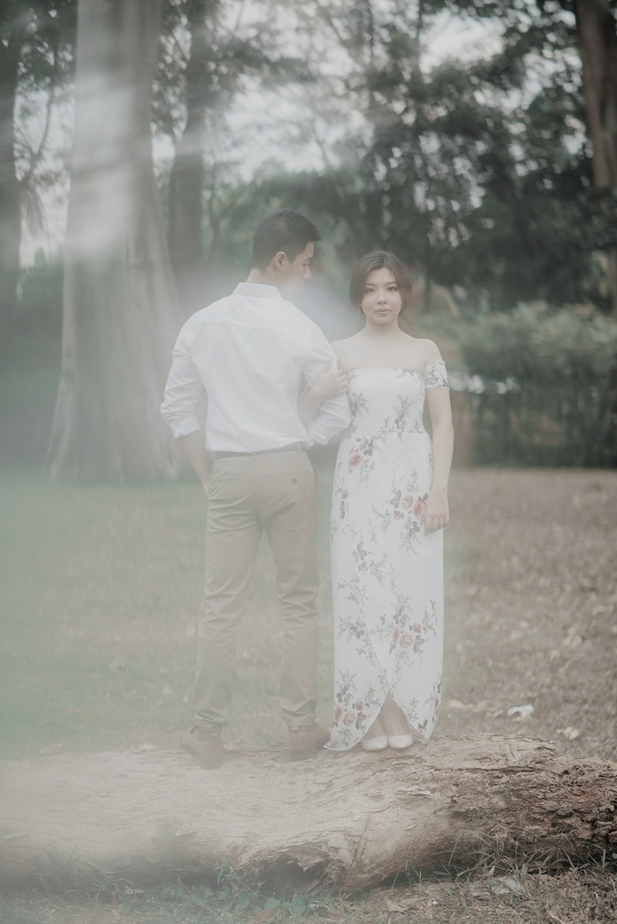 Under The Tree by unravel photograph - 002 Under The Tree by unravel photograph - 002