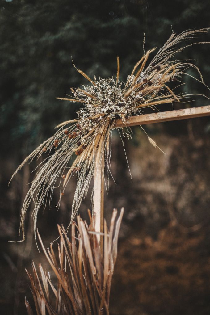 "UNTAMED" (Beach Raw and Natural Inspiration Shoot) by fire, wood & earth - 002 "UNTAMED" (Beach Raw and Natural Inspiration Shoot) by fire, wood & earth - 002