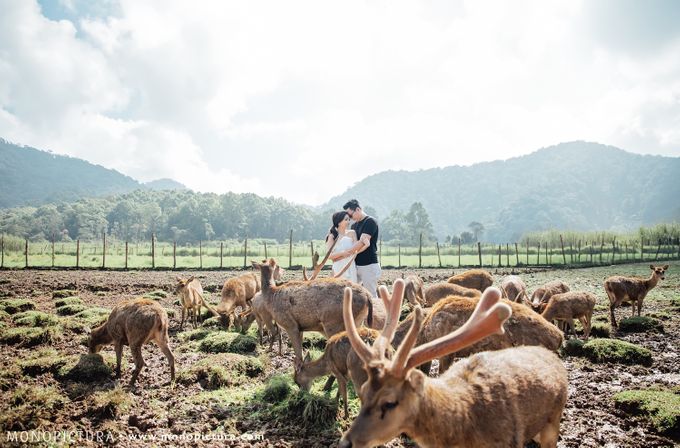 Bandung Prewedding by Elmer by Monopictura - 006 Bandung Prewedding by Elmer by Monopictura - 006