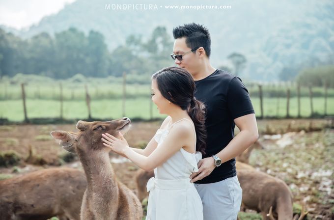 Bandung Prewedding by Elmer by Monopictura - 007 Bandung Prewedding by Elmer by Monopictura - 007