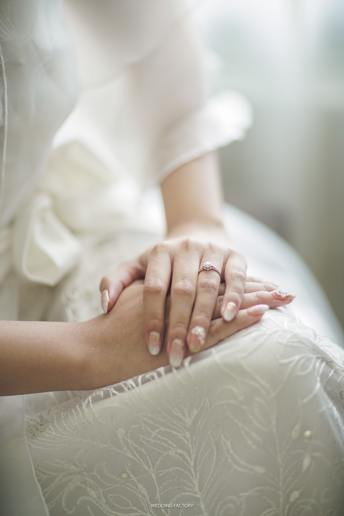 Wedd comp 16 by Wedding Factory - 001 Wedd comp 16 by Wedding Factory - 001