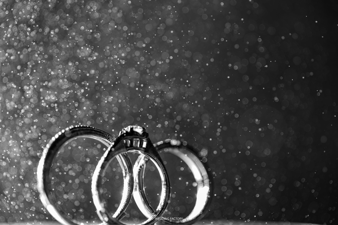 Wedd comp 16 by Wedding Factory - 003 Wedd comp 16 by Wedding Factory - 003