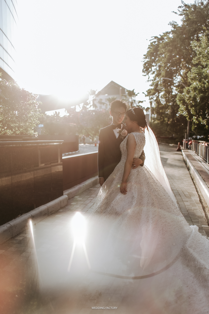 Wedd comp 29 by Wedding Factory - 001 Wedd comp 29 by Wedding Factory - 001