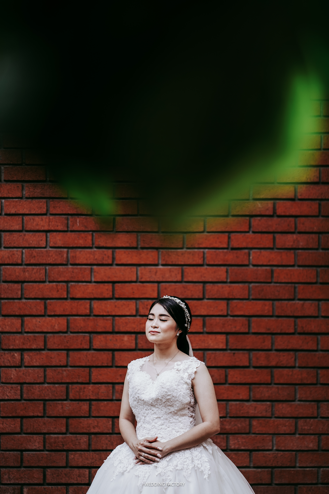 Wedd comp 31 by Wedding Factory - 002 Wedd comp 31 by Wedding Factory - 002