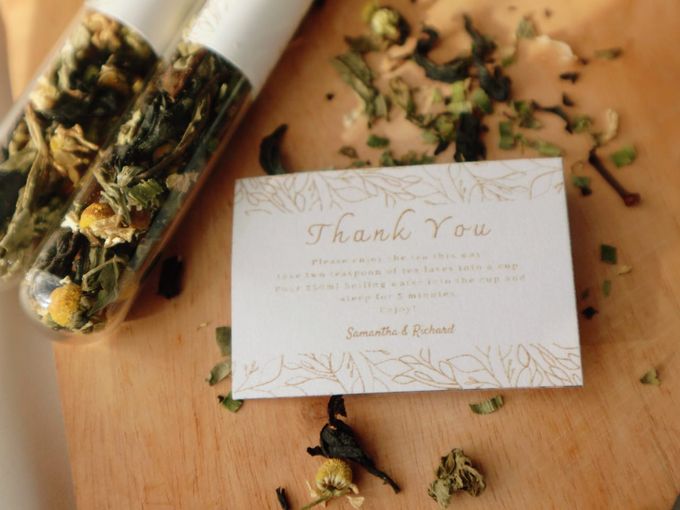 Abelia Package by Nate & Irine Tea Company - 001 Abelia Package by Nate & Irine Tea Company - 001