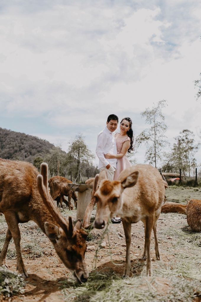 Prewedding Hendri & Ribka by WS Photography - 037