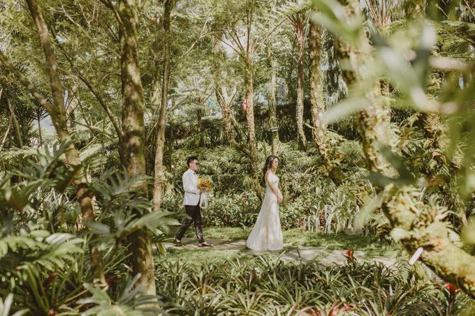 Ed & Iski by Amaryllis Boutique Resort - 009