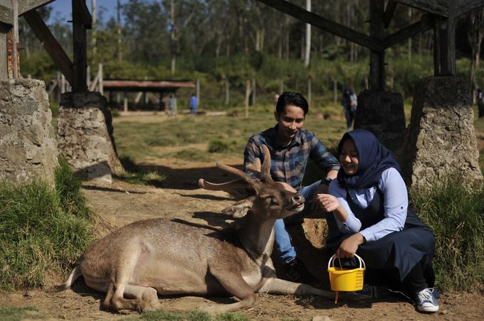 Ayu & Robi by S2C Pictures - 008