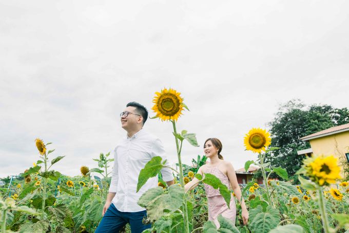 Y&A | Thailand Pre-Wedding by IORI PHOTOWORKS - 007 Y&A | Thailand Pre-Wedding by IORI PHOTOWORKS - 007