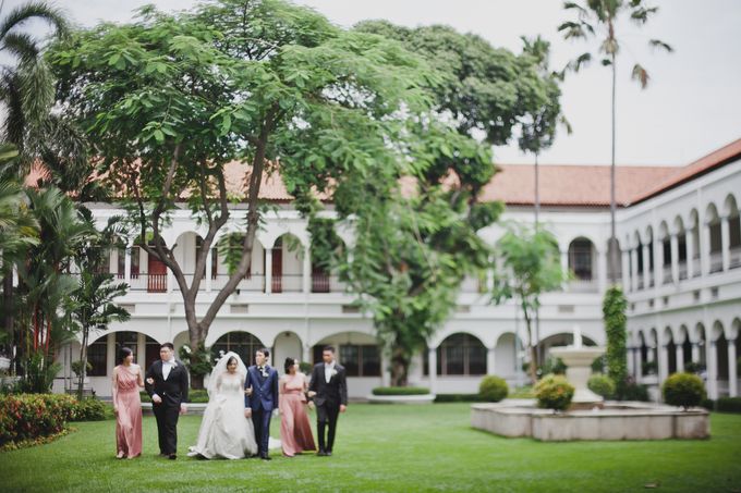WEDDING ALBION ♡ YOSEPHINE by Stradivari Orchestra - 008