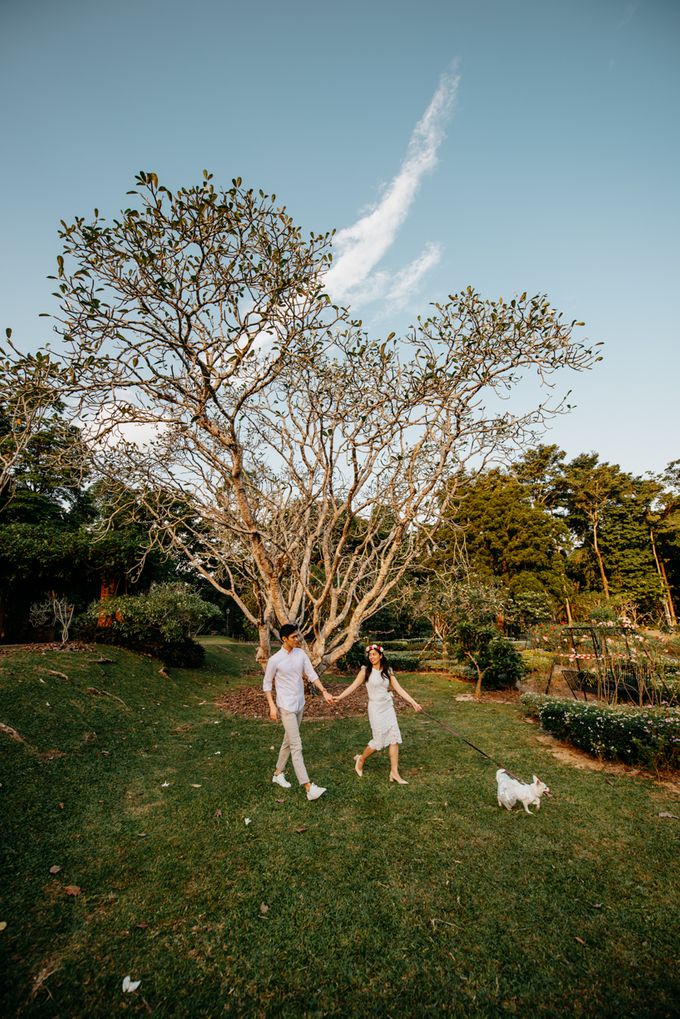 Jewel Changi & Botanic Gardens Pre-Wedding Shoot by GrizzyPix Photography - 005