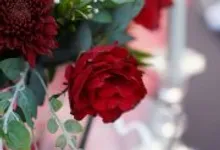 Dyene & Craig's Wedding by CITTA Wedding