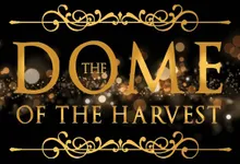 Perfect Place for Wedding by Dome Harvest