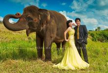 Escape Bali Romance by PerakMas Exclusive Wedding's Portfolio