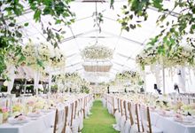 Enchanting Wedding in Tropical Paradise by STEVE'S DECOR