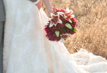 Recent Weddings by Lauren Cicileo Photography