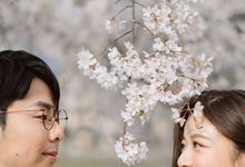 Japan Sakura / Cherry Blossom Prewedding by Hugh's Hue