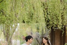 Japan Sakura / Cherry Blossom Prewedding by Hugh's Hue