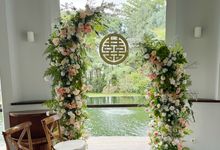 Modern Simple Teapai Style by Pampas Home Studio