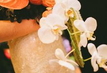 Teapai Decoration by Pampas Home Studio