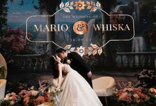 Mario & Whiska by JEVAHRE ENTERPRISE