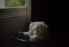 S + C by Xion Pictura