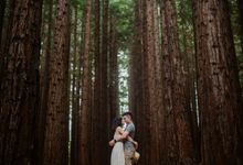 Marvelous Redwood Forest Wedding Anniversary in Warburton Melbourne Australia by FIRE, WOOD & EARTH