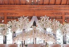 Kombinasi Dekor & Venue yang Bikin Momen Makin Magical by Tanavila Venue