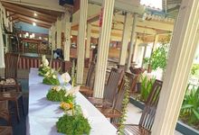 “Evergreen Elegance Backdrop” by FLOWERDECOR70